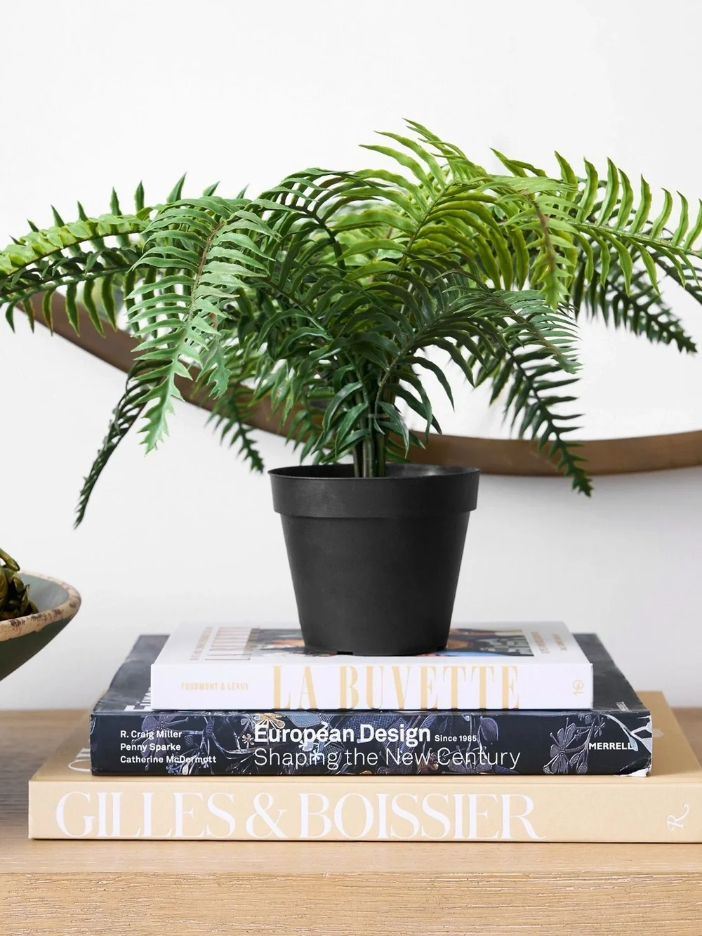 Pottery Barn Faux Potted Wild Fern